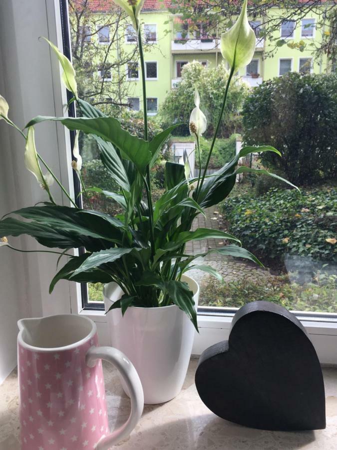 Gemuetliche Ferienwohnung Im Erdgeschoss- Jenaer Strasse Erfurt Eksteriør billede